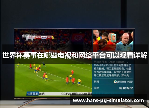 世界杯赛事在哪些电视和网络平台可以观看详解